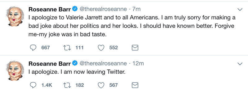 Illustration for article titled Roseanne Barr Says Valerie Jarrett Is the Result of ‘Muslim Brotherhood and Planet of the Apes’